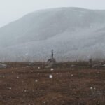 mr-bara-blog-2